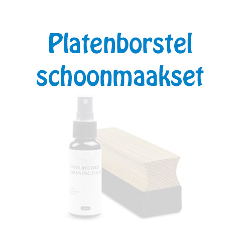 Plaatje van Platenborstel / schoonmaakset